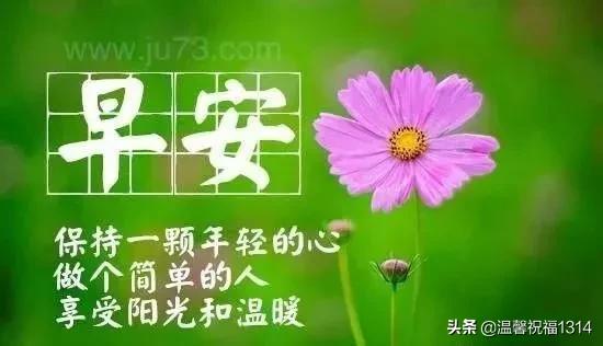 人生不易，珍惜拥有，感谢经历！早安