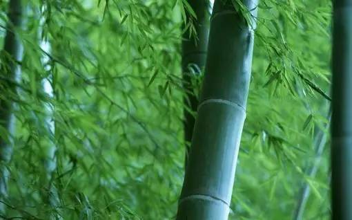 00个文化常识，存下来慢慢看"/