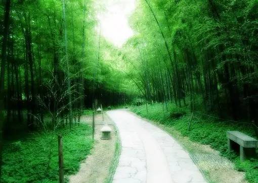 00个文化常识，存下来慢慢看"/