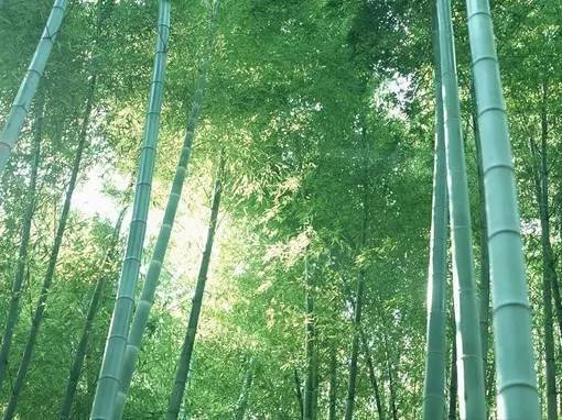 00个文化常识，存下来慢慢看"/