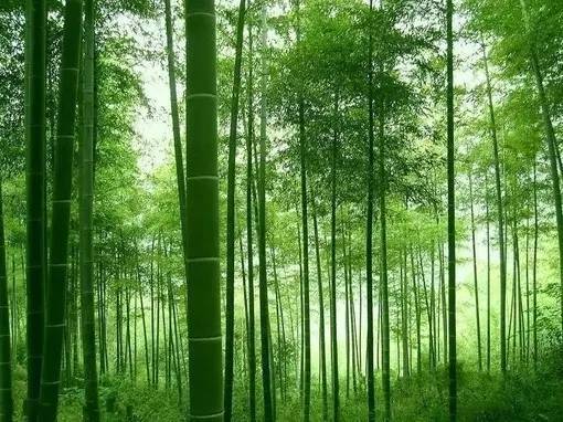 00个文化常识，存下来慢慢看"/
