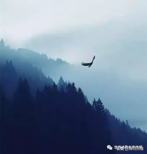 艾青我爱这土地赏析（艾青最短的诗歌）