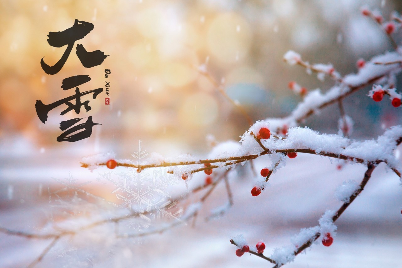 赞美雪的诗句古诗（形容雪很美的诗句鉴赏）
