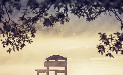 爱情名言名句欣赏