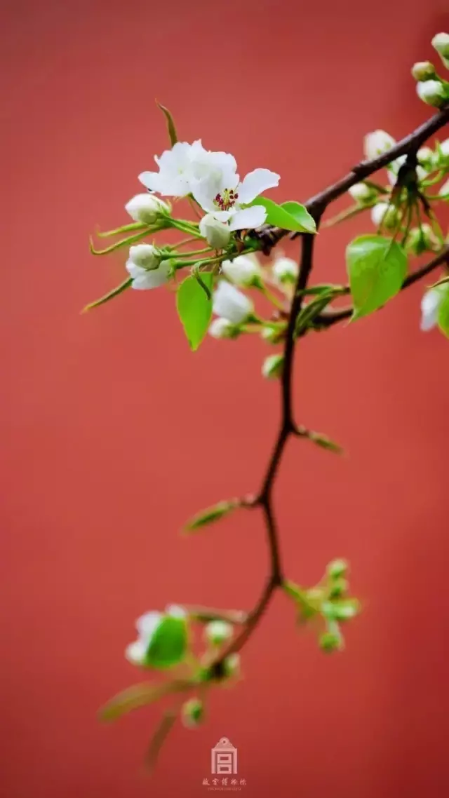 春日诗歌赏析（春天的诗词名句）