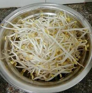泡豆芽怎么泡的（教你自家泡发豆芽）