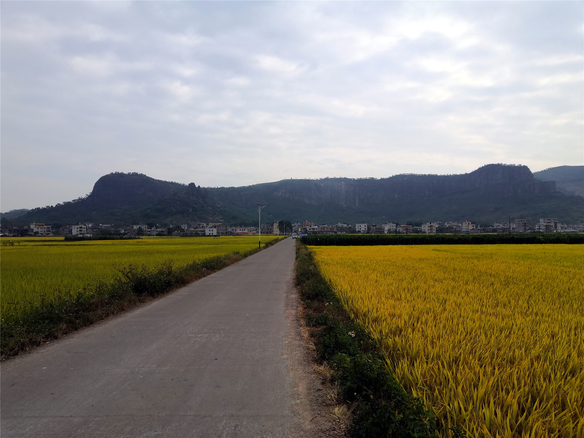 描写稻田的优美句子秋天（乡村稻田风景的美句分享）