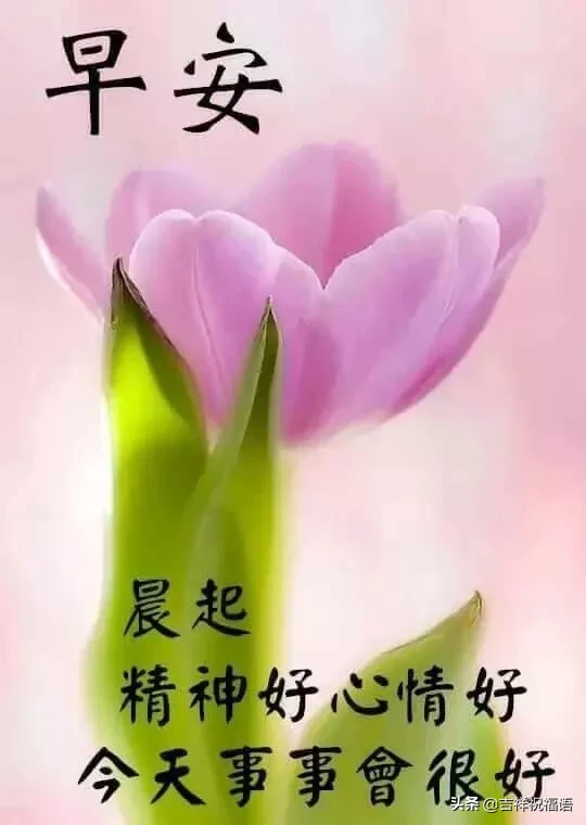 祝福工作顺利的话语（简短祝福工作顺利的话）