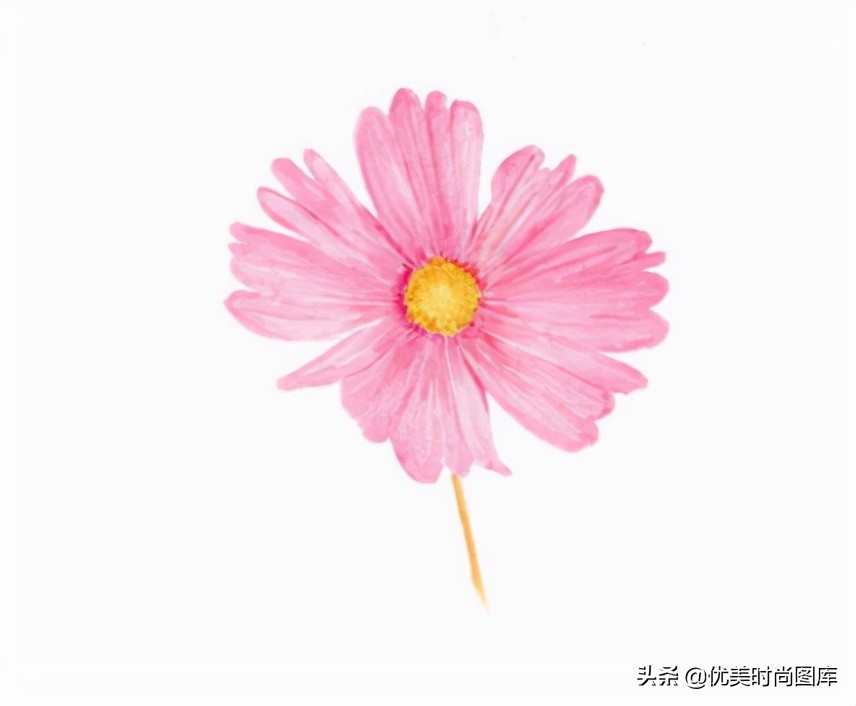 描写花的优美句子短句（花的唯美句子简短）