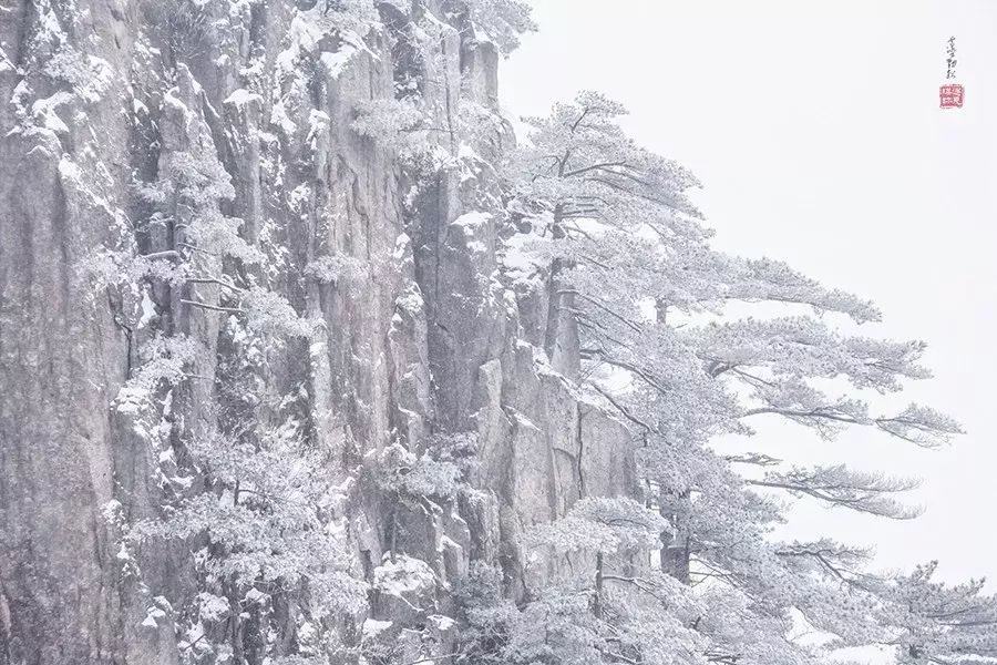 关于雪的现代诗有什么（雪现代诗大全唯美）
