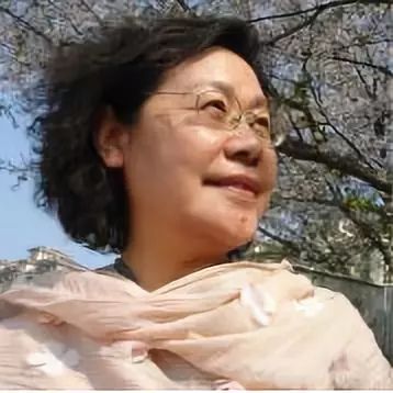四个太阳课文原文（四个太阳的阅读感悟）