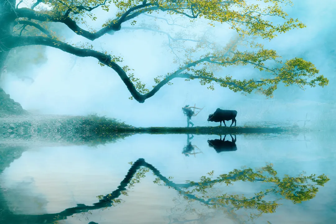 白居易的诗句有哪些（白居易最有名的十首诗）