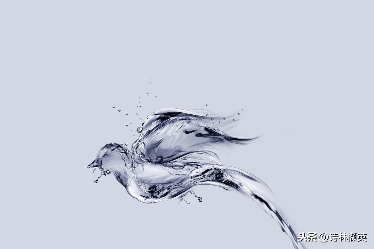 关于水的诗句有哪些（带有水的古诗大全）
