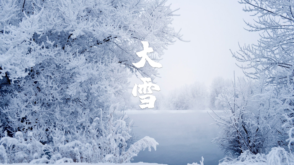 大雪节气的诗歌有哪些（描写大雪的经典诗句）